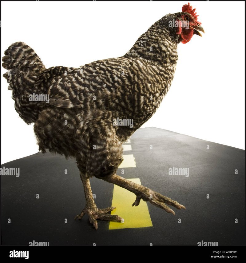 Descubre el Juego que Revoluciona la Escena en España: Chicken Road 2.